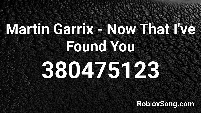 Martin Garrix - Now That I've Found You Roblox ID