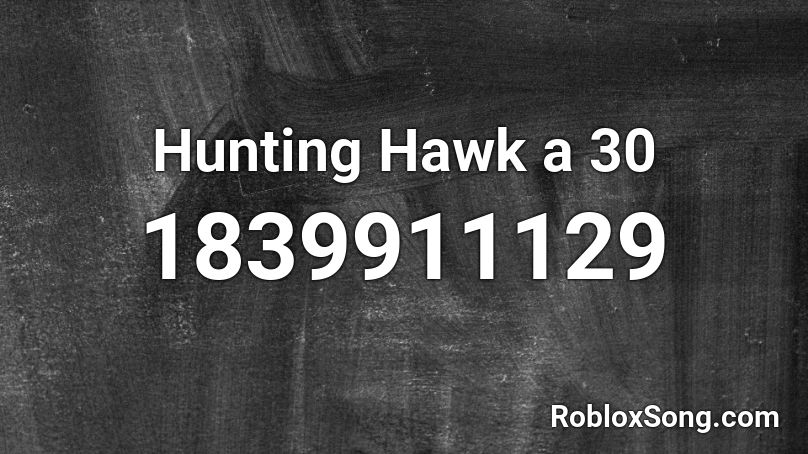 Hunting Hawk a 30 Roblox ID