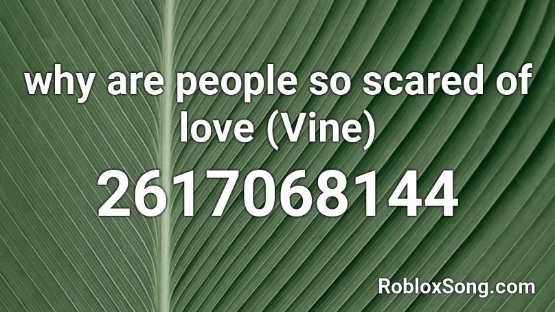why are people so scared of love (Vine) Roblox ID