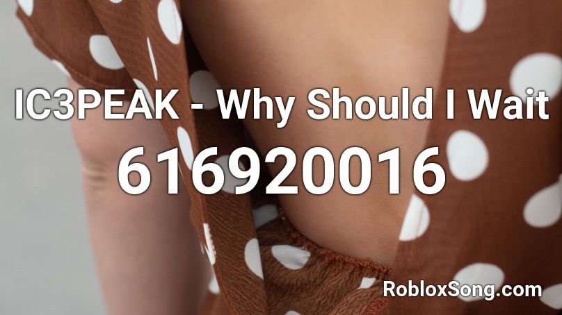 IC3PEAK - Why Should I Wait  Roblox ID
