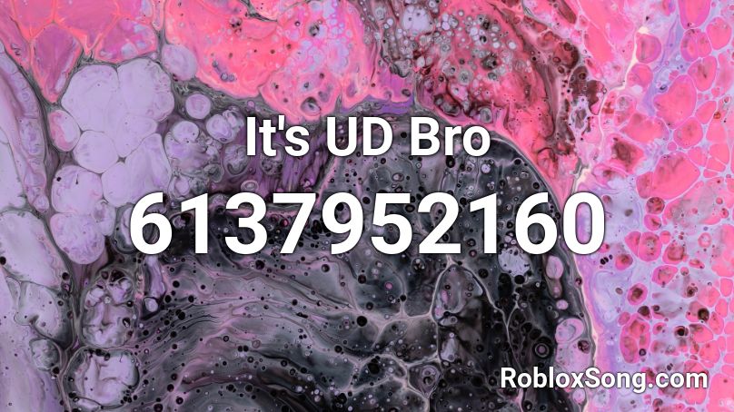 It's UD Bro Roblox ID