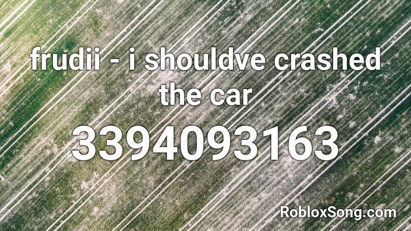 frudii - i shouldve crashed the car Roblox ID