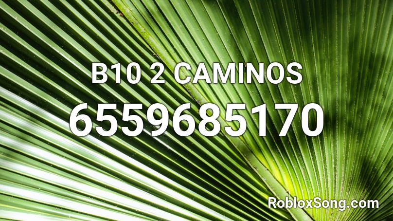 B10 2 CAMINOS  Roblox ID