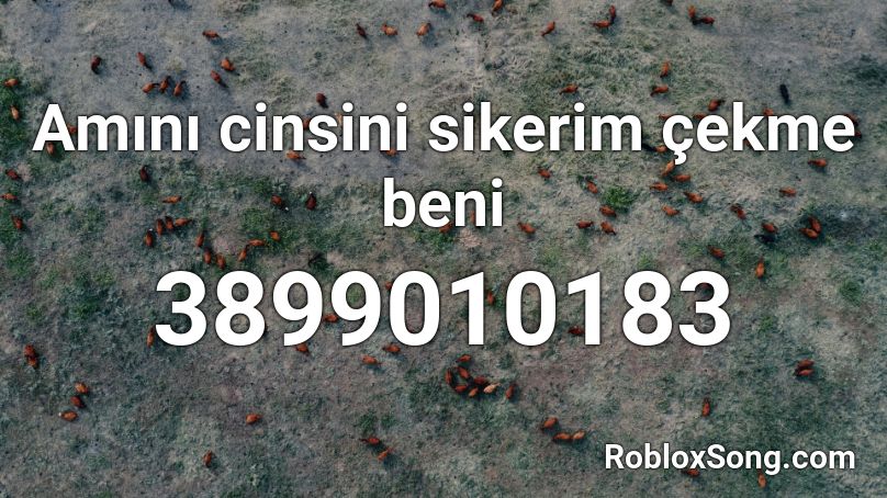 Amını cinsini sikerim çekme beni Roblox ID