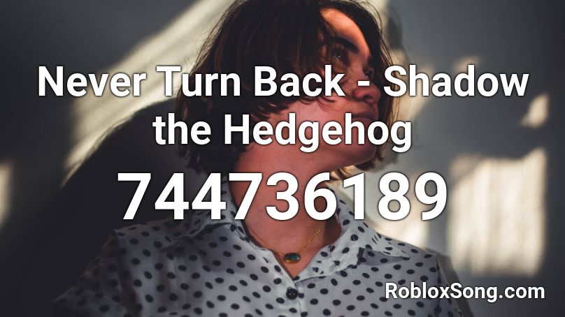 Never Turn Back - Shadow the Hedgehog Roblox ID