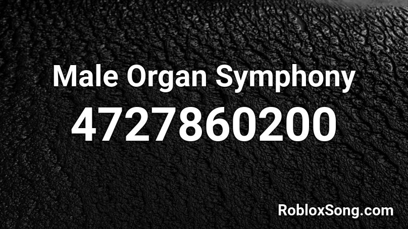 Male Organ Symphony Roblox ID