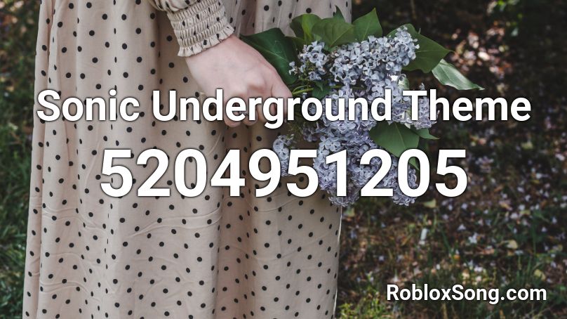 Sonic Underground Theme Roblox ID