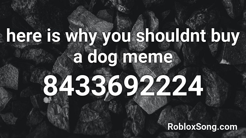 here is why you shouldnt buy a dog meme Roblox ID
