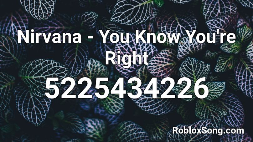 Nirvana - You Know You're Right Roblox ID