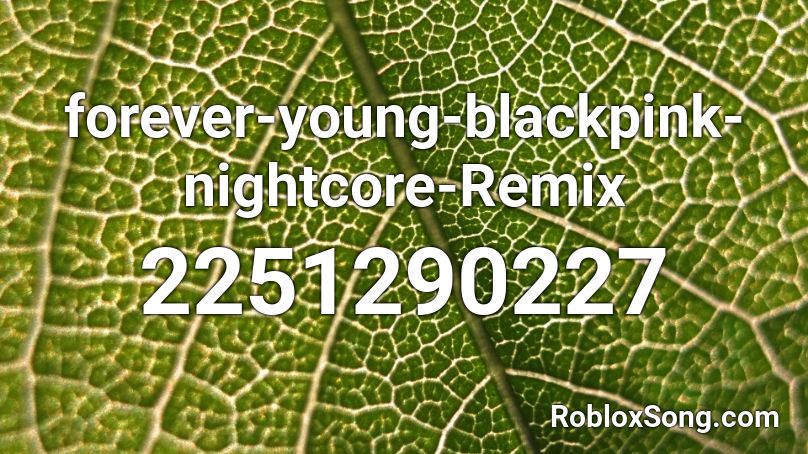 forever-young-blackpink-nightcore-Remix Roblox ID