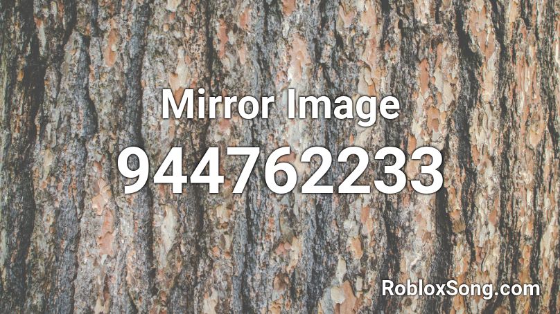 Mirror Image  Roblox ID
