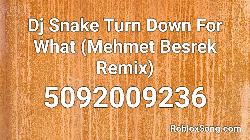 Dj Snake Turn Down For What (Mehmet Besrek Remix) Roblox ID