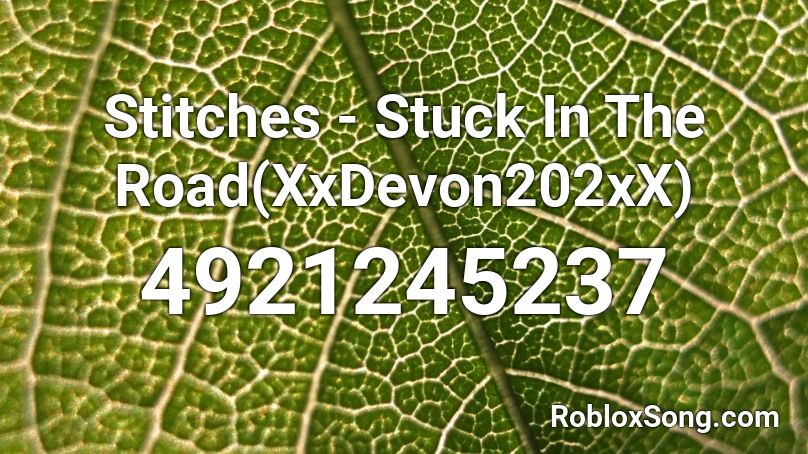 Stitches - Stuck In The Road(XxDevon202xX) Roblox ID
