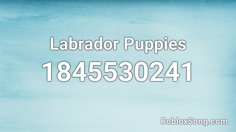 Labrador Puppies Roblox ID