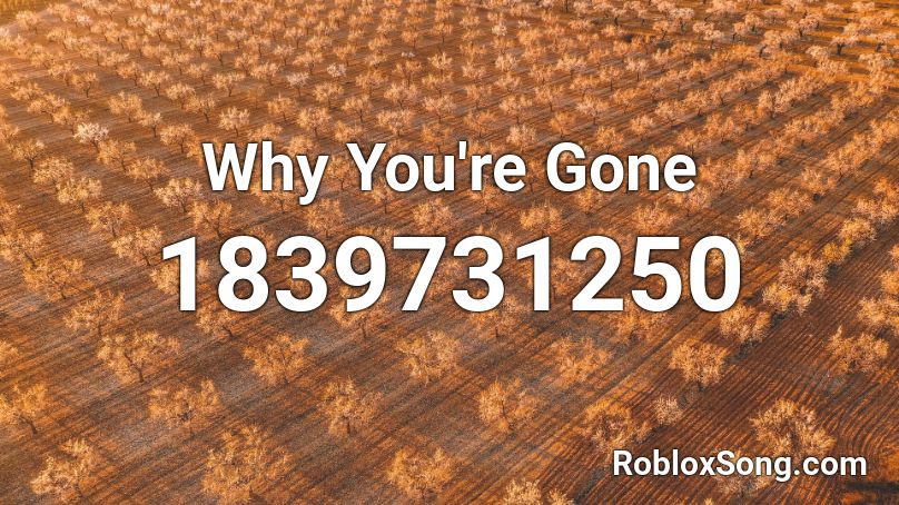 Why You're Gone Roblox ID