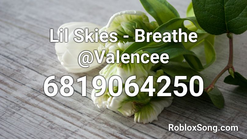 Lil Skies Breathe Vaiencee Roblox Id Roblox Music Codes - roblox music codes for lil skies