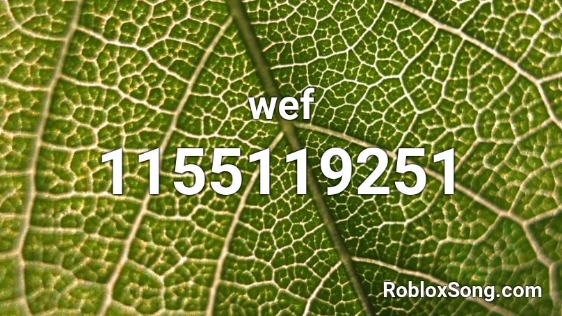 wef Roblox ID