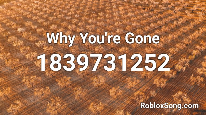 Why You're Gone Roblox ID