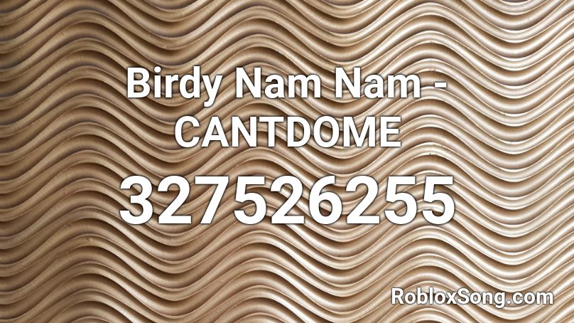 Birdy Nam Nam - CANTDOME Roblox ID
