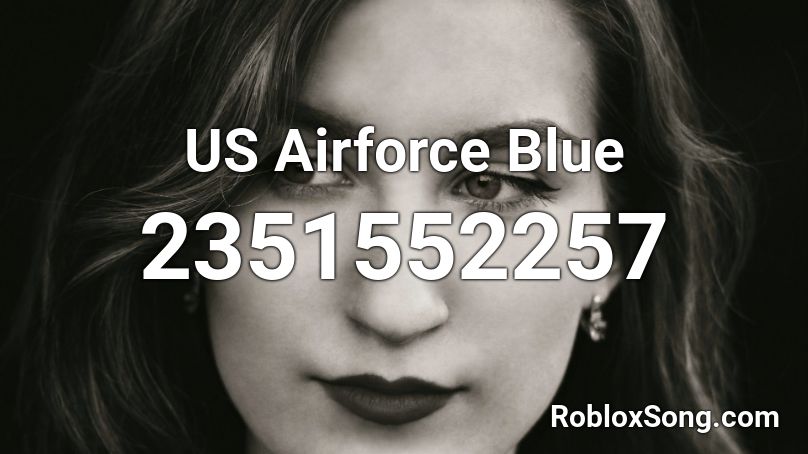 US Airforce Blue  Roblox ID