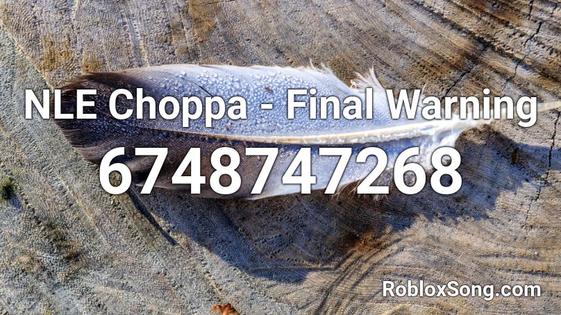 Nle Choppa Final Warning Vaiencee Roblox Id Roblox Music Codes