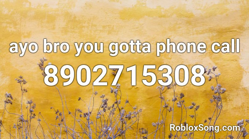 ayo bro you gotta phone call Roblox ID