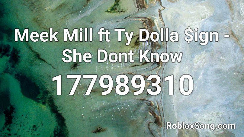 Meek Mill ft Ty Dolla $ign - She Dont Know Roblox ID