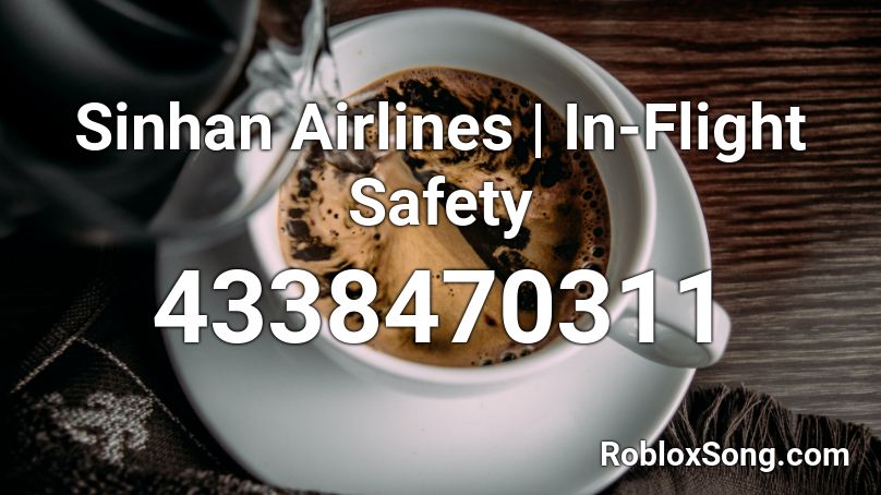 Sinhan Airlines | In-Flight Safety Roblox ID