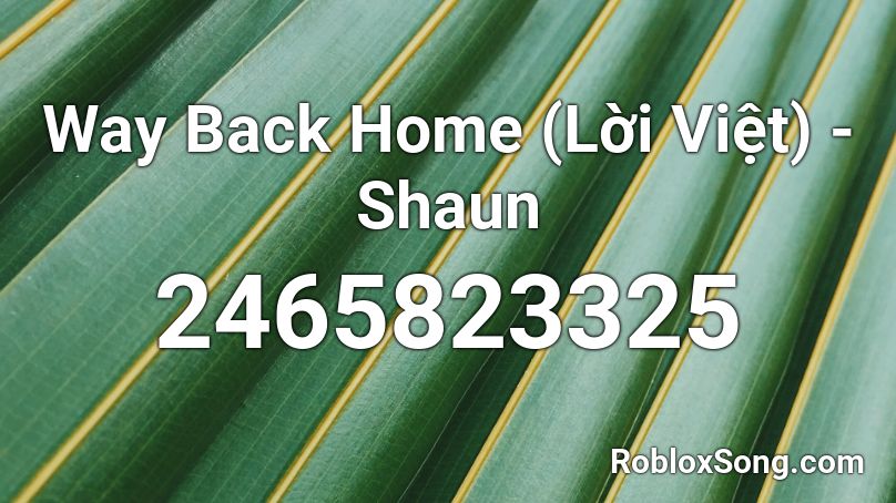 Way Back Home (Lời Việt) -Shaun Roblox ID