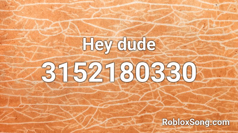 Hey dude  Roblox ID