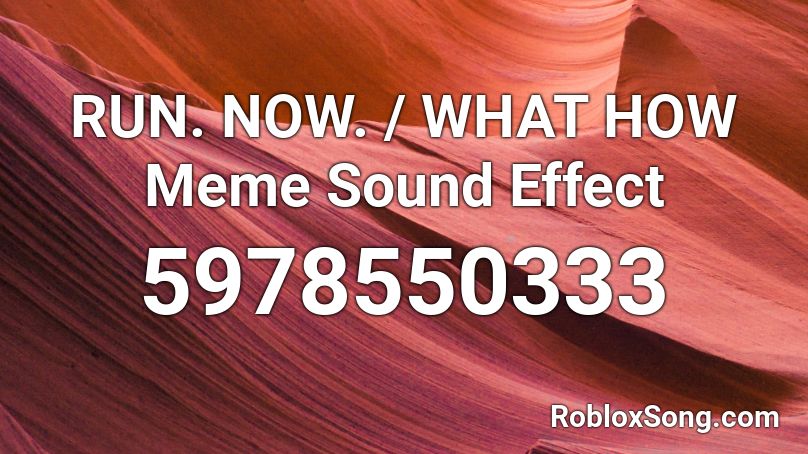 RUN. NOW. / WHAT HOW Meme Sound Effect Roblox ID