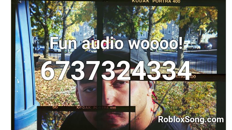 Fun audio woooo! Roblox ID