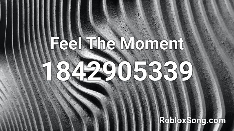 Feel The Moment Roblox ID