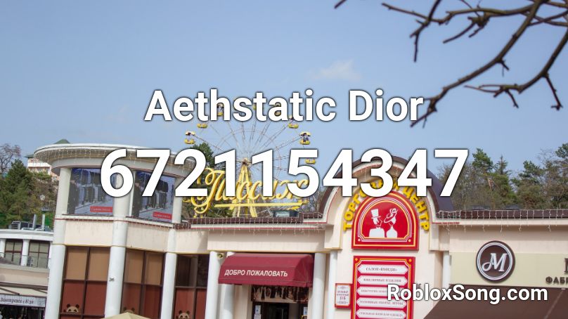Dior's Aesthatic Roblox ID