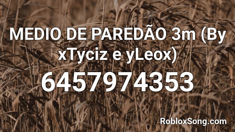 MEDIO DE PAREDÃO 3m (By xTyciz e yLeox) Roblox ID