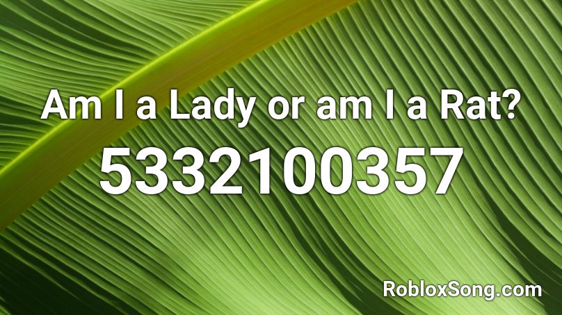 Am I A Lady Or Am I A Rat Roblox Id Roblox Music Codes - rat roblox id