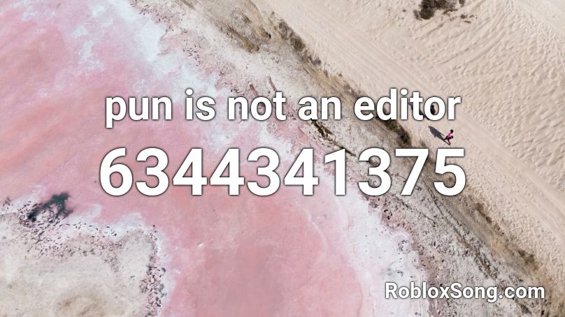 pun is not an editor Roblox ID