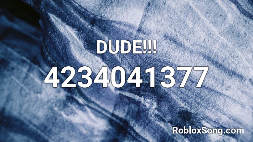 DUDE!!! Roblox ID