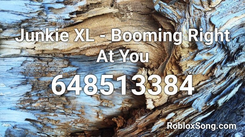 Junkie XL - Booming Right At You Roblox ID