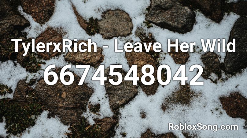 TylerxRich - Leave Her Wild Roblox ID
