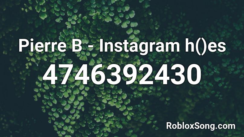 Pierre B - Instagram h()es Roblox ID