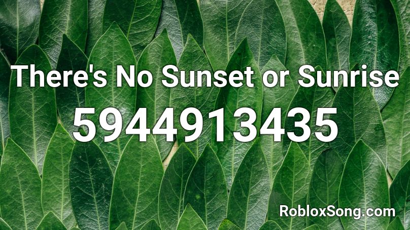x0o0x_ - There's No Sunrise or Sunset Roblox ID