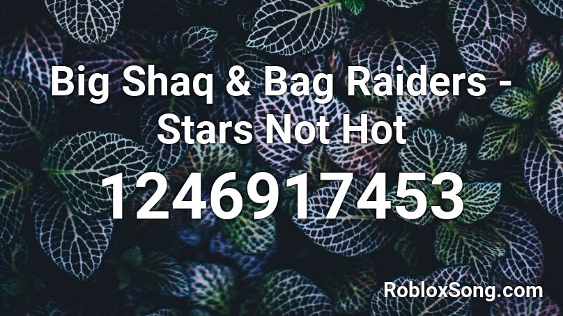 Big Shaq & Bag Raiders - Stars Not Hot Roblox ID