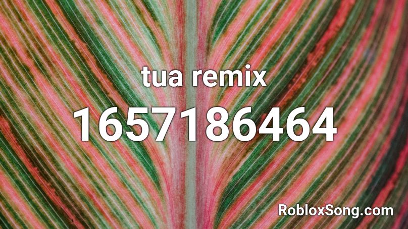 tua remix Roblox ID