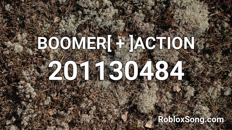 Boomer Action Instrumental 1 Roblox Id Roblox Music Codes - mario kart ds waluigi pinball roblox id