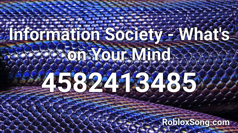 Information Society - What's on Your Mind Roblox ID