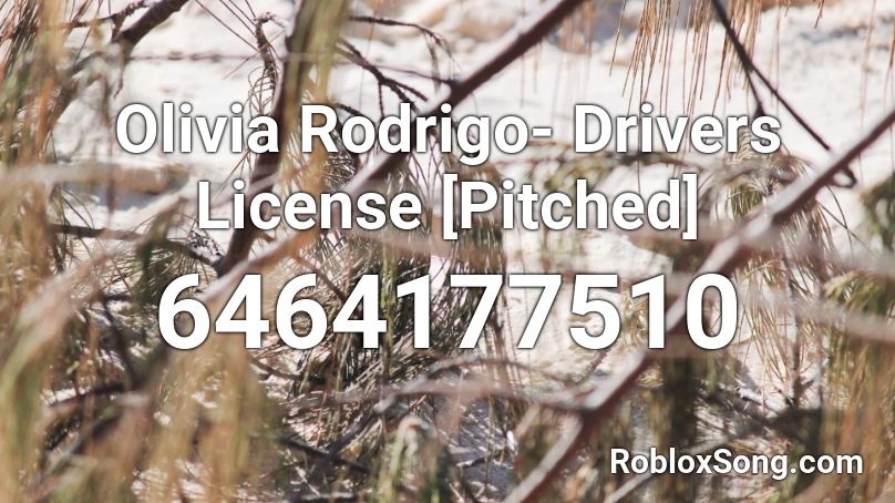 Olivia Rodrigo Drivers License Pitched Roblox Id Roblox Music Codes - roblox drivers com