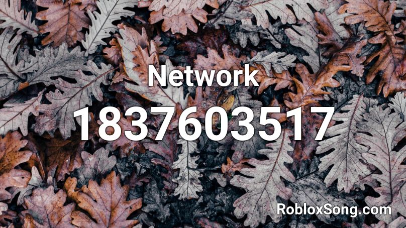 Network Roblox ID