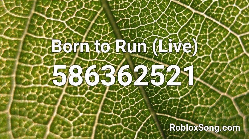  Born to Run (Live) Roblox ID