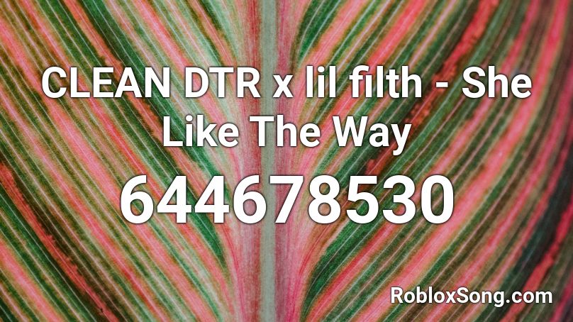 CLEAN DTR x lil filth - She Like The Way Roblox ID
